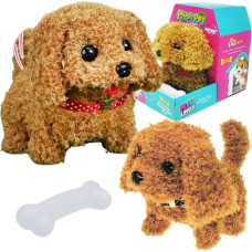 Woopie Piesek Interaktywny Pluszak z Kością Pudel Husky