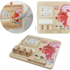 Masterkidz Montessori Sense of Smell Educational Board