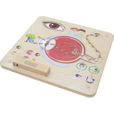 Masterkidz Montessori Sense of Sight Educational Board