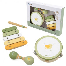 Viga Toys VIGA PolarB mūzikas instrumentu komplekts Zaļš